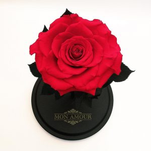 Роза в колбе Premium красная большой бутон